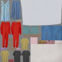 Asset preview